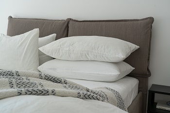 Cushion Cleaning